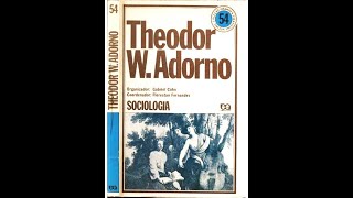 CAPITALISMO TARDIO OU SOCIEDADE INDUSTRIAL  THEODOR ADORNO [upl. by Ydner]