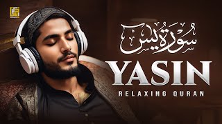 Unwind with Surah Yasin Yaseen سورة يس  Relaxing Touching Recitation  Zikrullah TV [upl. by Eicaj]