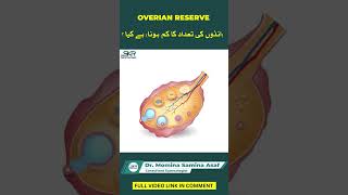 Andon Ki Tadad Main Kami Ovarian Reserve  Dr Momina Samina Asaf [upl. by Graaf28]