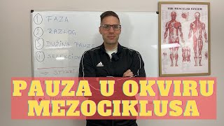 PAUZA U OKVIRU MEZOCIKLUSA [upl. by Chouest]