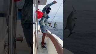 വറ്റ Trevally caught in light tacklemalluangler GTviralshortsshortvideoshortsviralreels [upl. by Hola679]