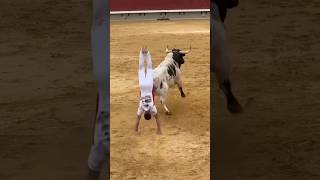 SALTO DEL ANGEL TORO BRAVO CONCURSO RECORTES CASTELLON TOROIMPACTO toros toros bous [upl. by Damara]