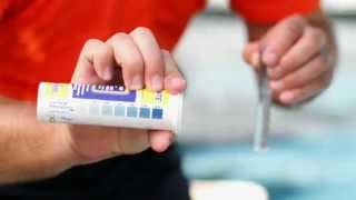 NC HowTo Properly Test For Phosphates [upl. by Madancy]