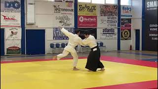 Nikos SFAKIOTIS Sensei 2nd DAN [upl. by Whalen]