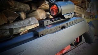 Crosman 1077 quotfreestylequot  Bushnell trs25The most fun you can have in the backyard [upl. by Aihsakal]