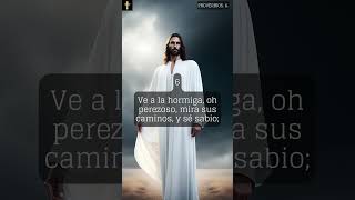 proverbios 061 proverbs fe biblia bible frasesbiblicas fecristiana sabiduria cristiano [upl. by Jenks]