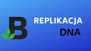 REPLIKACJA etapy replikacji  genetyka  KOREPETYCJE z BIOLOGII  202 [upl. by Derfniw912]