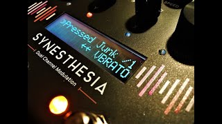 GFI Systems Synesthesia  Pressed Junk amp Vibrato  Demo [upl. by Oswin634]