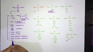 Generalidades de aminoácidos función y clasificación [upl. by Hagile]