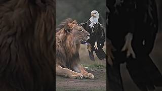 quotWhere strength meets vision the lion roars the eagle soarsquot lion eagles shorts [upl. by Drannek]