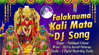 Falaknuma Kali Mata Dj Song  Chettu Kinda Dorasani  Old City Amruth Potharaju  Peddapuli Eshwar [upl. by Labannah500]