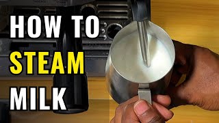 How to Steam Milk Perfectly Every Time [upl. by Soulier]