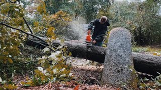 Storm Clean Up  STIHL MS261 [upl. by Noiek]