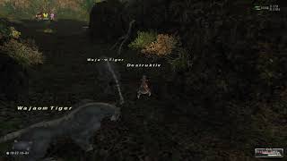 Lets Play Final Fantasy XI Online Retail  Episode 46  Halvung Staging Point and Exp [upl. by Eylatan]