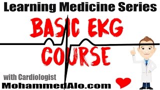 Basic EKGs Course [upl. by Lati635]