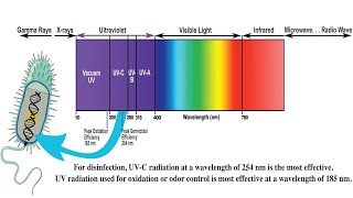 Understanding Ultraviolet UV Radiation and its Effects [upl. by Daffodil]