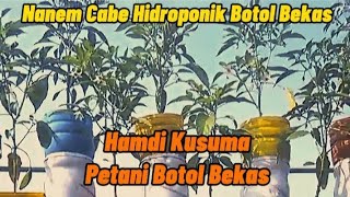 nanem cabe hidroponik botol bekas3rhidroponikcara urbanvertikalkebun berkebun cabe sayuran [upl. by Anyl73]