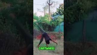 Cartwheel Karneka sehi tarika 2024 How To Learn CartwheelCartwheel Tutorial trending shorts [upl. by Sinnelg558]