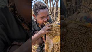 Its Lunch time See How hadzabe cooks Raw meat today hadzabetribe villagelife food [upl. by Anirtruc513]