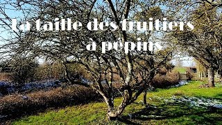 Permaculture et autonomie  Les fondamentaux de la taille  pratique 22 [upl. by Eelanej881]