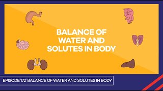 Balance of water and solutes in body [upl. by Eecak]