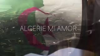 LAlgérino ALGERIE Mi Amor instrumental Lettre damour à mon pays [upl. by Hylton951]