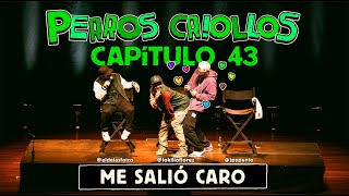 PERROS CRIOLLOS  ME SALIÓ CARO CAP 43 [upl. by Nide]