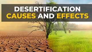 Desertification Causes and Effects  Desertification  What Is Desertification [upl. by Solberg]