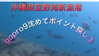 gopro9を沈めて釣りポイント探索③ 宜野湾新漁港水中カメラ映像沖縄磯釣りgopro水中映像 [upl. by Aznarepse]