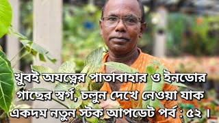 খুবই অযত্নের পাতাবাহার ও ইনডোর গাছের স্বর্গ চলুন দেখে নেওয়া যাক একদম নতুন স্টক আপডেট পর্ব  ৫২ । [upl. by Havener]