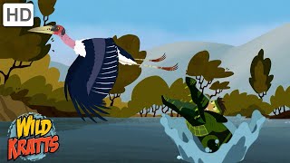 Every Creature Rescue Part 1  Protecting The Earths Wildlife  Wild Kratts [upl. by Atilrep909]