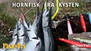 HORNFISK FRA KYSTEN [upl. by Yarod]