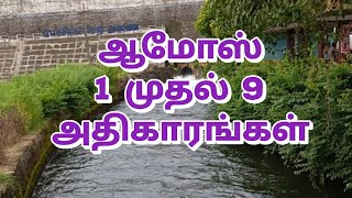 Amos chapters 1 to 9 ll ஆமோஸ் 1 முதல் 9 அதிகாரங்கள் bibletamilaudio384 [upl. by Ylaek841]