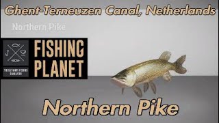 Fishing Planet Northern Pike GhentTerneuzen Canal Netherlands [upl. by Aicnom]