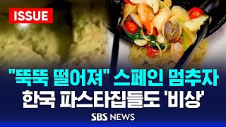 quot뚝뚝 떨어져quot 스페인 멈추자…한국 파스타집들도 비상 이슈라이브  SBS [upl. by Ymor]