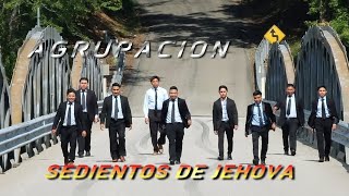 TU MIRADA EN MI COVER AGRUPACION SEDIENTOS DE JEHOVA 🎹🎹 [upl. by Sherris]