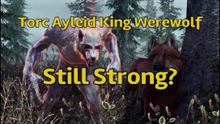 ESO  Is Ayleid King Werewolf Still Strong [upl. by Aneehc339]