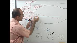 Inflammation  Vascular Events  Immunology  Dr Najeeb [upl. by Sikata697]