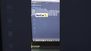 NetCat netcat cybersecurity networkprotocol ipaddress [upl. by Karim870]