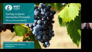 Variety in focus GrenacheGarnacha with Lucy Stevenson DipWSET [upl. by Conover]