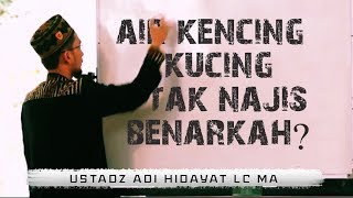 Benarkah Air Kencing Kucing Tidak Najis  Ustadz Adi Hidayat Lc MA [upl. by Coppinger92]