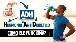 Como funciona o ADH Hormônio AntidiuréticoVasopressina │ Fisiologia Resumida [upl. by Itch52]