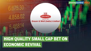 This High Quality Small Cap Stock Will Gain From Economic Revival  Ideas For Profit [upl. by Adamski]