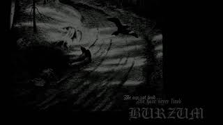 Burzum Dunkelheit Vocal Cover [upl. by Ahseyi]