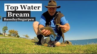 TOPWATER Bream surface fishing tips [upl. by Papert]