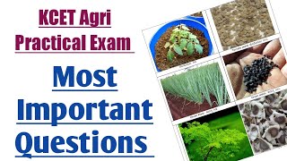 Most Important Questions For Agriculture Practical Exam  My Exam Updates [upl. by Aimej]