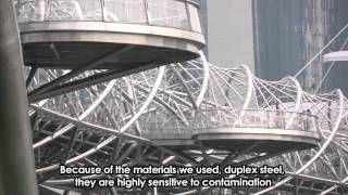 Singapore Iconic Bridges  The Helix [upl. by Clyde]