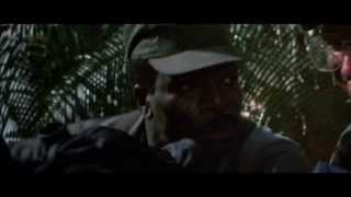 Predator  Official® Trailer HD [upl. by Suzan]