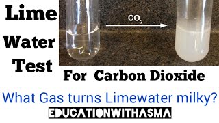 Limewater Test for Carbon Dioxidewhat is lime waterdeduction of carbon dioxide carbon dioxide [upl. by Edgerton82]