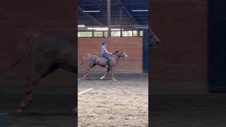 Barback lessons are fun but SO hard 😬❤️🫶🏻 youtubeshorts hobbyhorse equestrian horsey [upl. by Dianne]